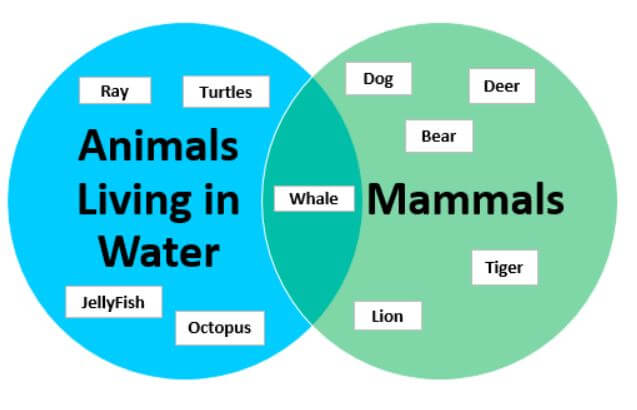 A∩B Venn diagram