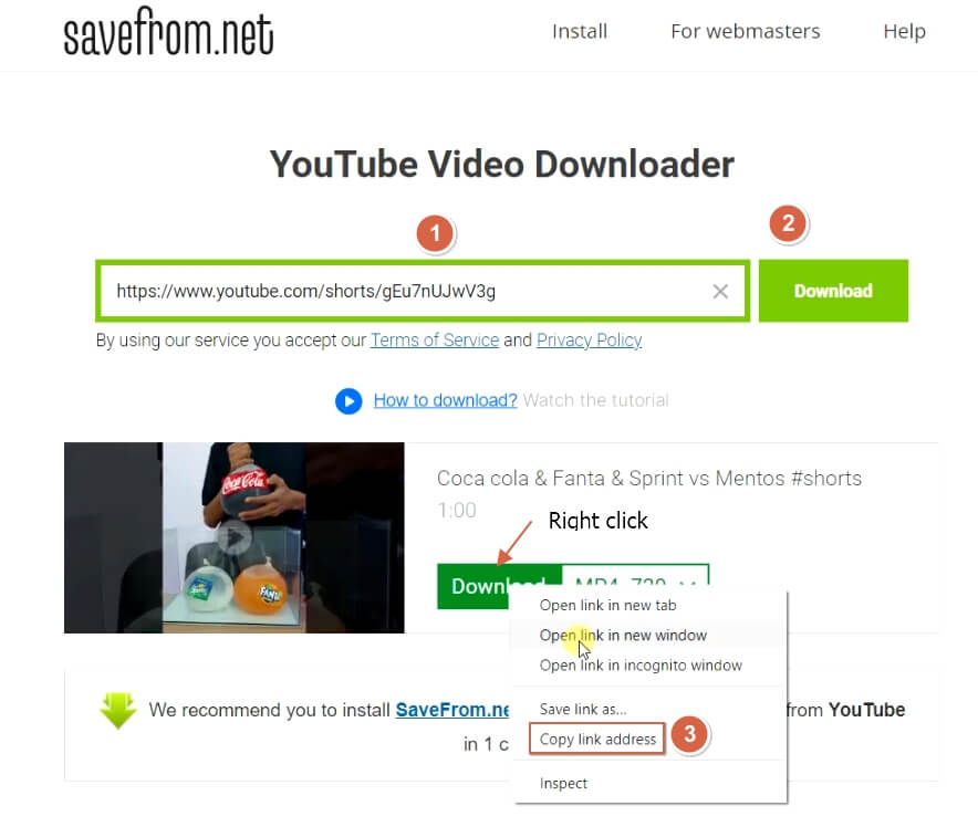 savefrom.net web page to paste link and generate download link